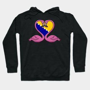 Flamingo Bosnia and Herzegovina Hoodie